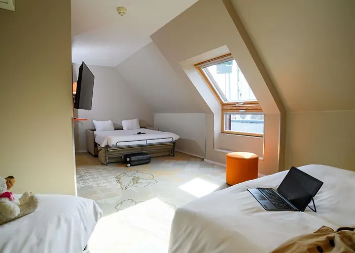 Ibis Styles Centre מלון