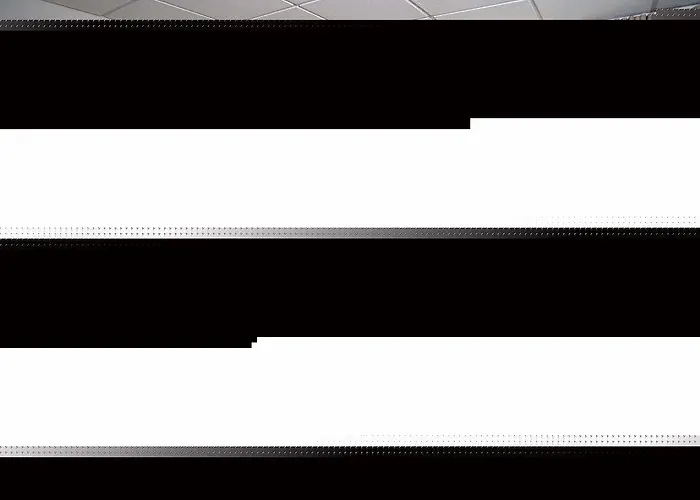 Ibis Styles Centre Hotell 3*