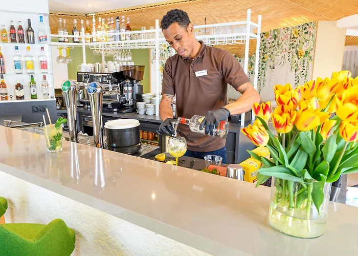 Ibis Styles Centre מלון טור